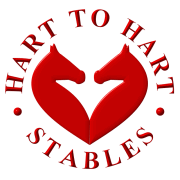 Hart to Hart Stables - Saddlebred / Hackney Horses